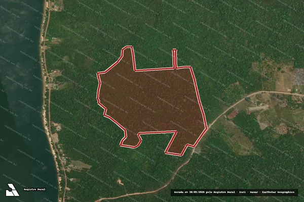 Imagem de satélite de Infração da Flora em Belterra - PA