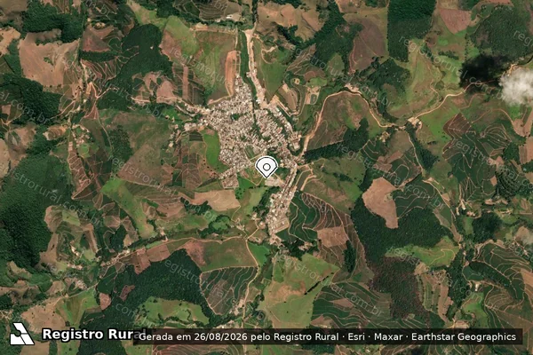Imagem de satélite de Infração da Fauna em Juiz de Fora - MG (marcador da localização)