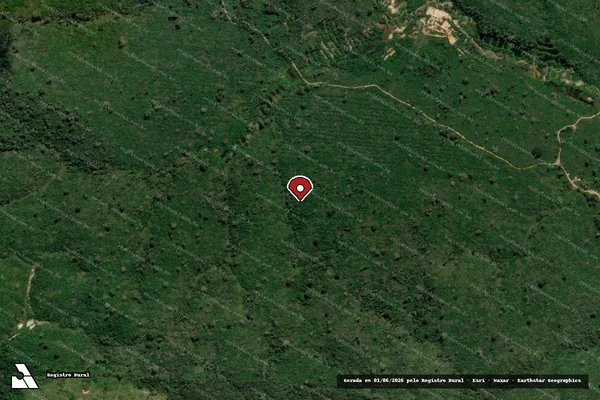 Imagem de satélite de Infração da Flora em Itaituba - PA (marcador da localização)