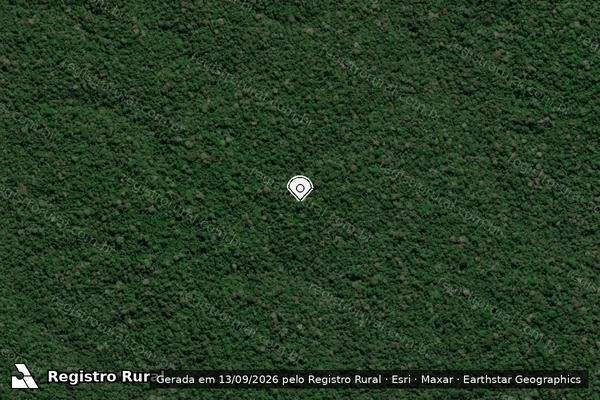 Imagem de satélite de Infração Ambiental em Porto Velho - RO (marcador da localização)
