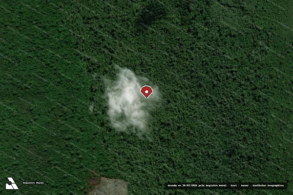 Imagem de satélite de Infração da Flora em São Félix do Xingu - PA (marcador da localização)