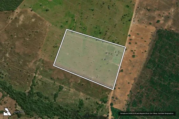 Imagem de satélite de Infração da Flora em São Miguel do Araguaia - GO