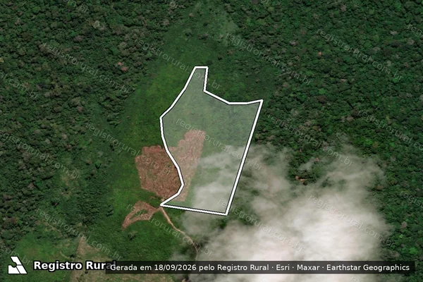 Imagem de satélite — Embargo IBAMA — Infração da Flora - Itaituba/PA