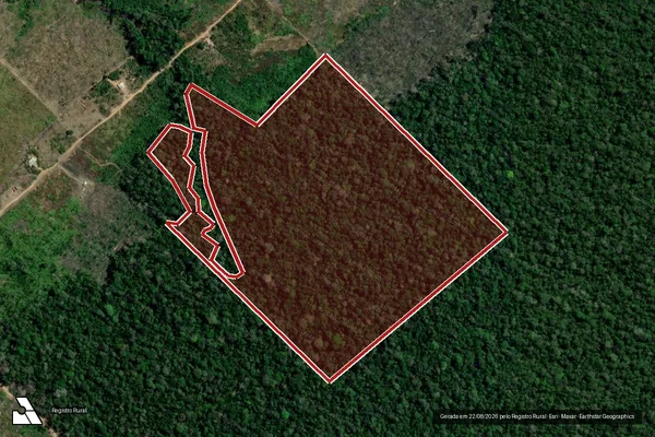 Imagem de satélite de Infração da Flora em Humaitá - AM