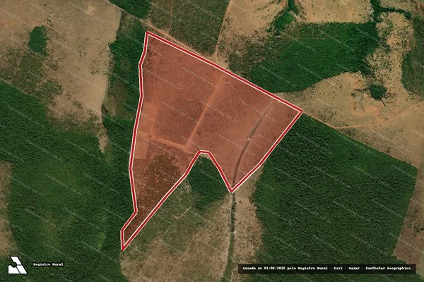Imagem de satélite de Infração Ambiental em São Félix do Araguaia - MT