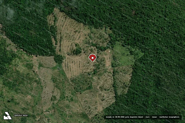 Imagem de satélite — Embargo IBAMA — Infração da Flora - Anapu/PA