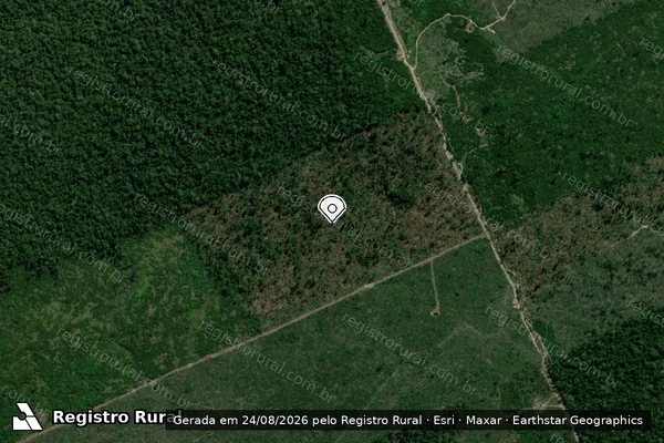 Imagem de satélite de Infração da Flora em Cujubim - RO (marcador da localização)