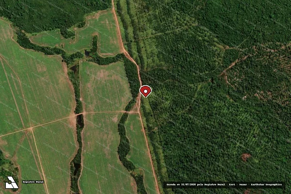 Imagem de satélite de Infração da Flora em Matupá - MT (marcador da localização)