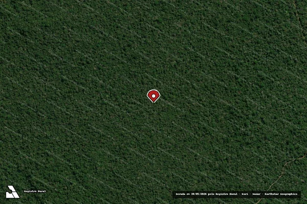 Imagem de satélite de Infração Ambiental em Uruará - PA (marcador da localização)