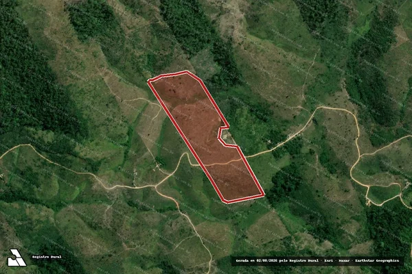 Imagem de satélite de Infração da Flora em Pacajá - PA