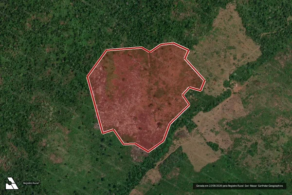 Imagem de satélite de Infração da Flora em São Félix do Xingu - PA