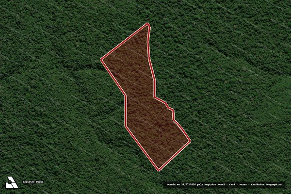 Imagem de satélite de Infração da Flora em Apuí - AM