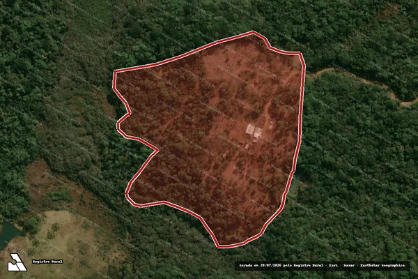 Imagem de satélite de Infração da Flora em Inácio Martins - PR