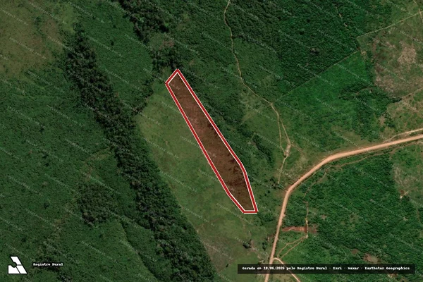 Imagem de satélite — Embargo IBAMA — Infração da Flora - Apuí/AM