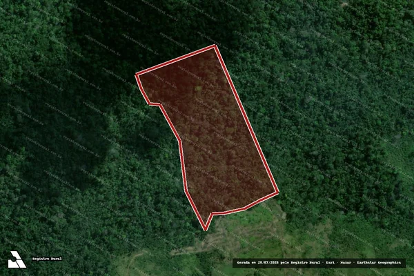 Imagem de satélite de Infração da Flora em Bom Jesus do Tocantins - PA