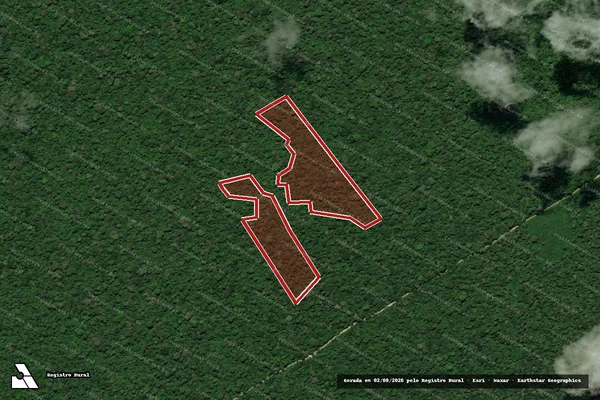 Imagem de satélite de Infração da Flora em Portel - PA
