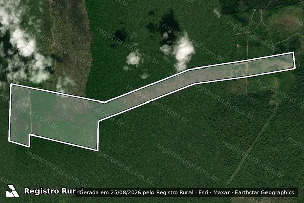 Imagem de satélite de Infração Ambiental em Novo Aripuanã - AM