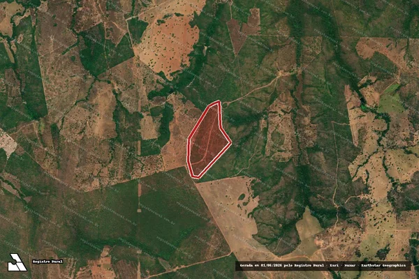 Imagem de satélite de Infração da Flora em Palmeirópolis - TO