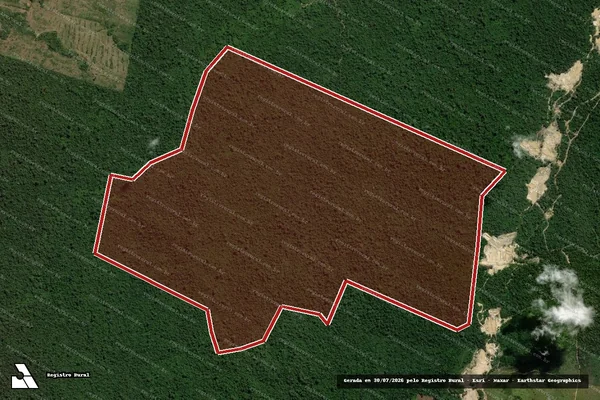 Imagem de satélite de Infração da Flora em São Félix do Xingu - PA