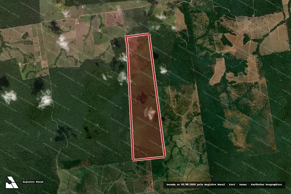 Imagem de satélite de Infração da Flora em Novo Progresso - PA