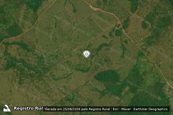 Imagem de satélite de Infração Ambiental em Apuí - AM (marcador da localização)