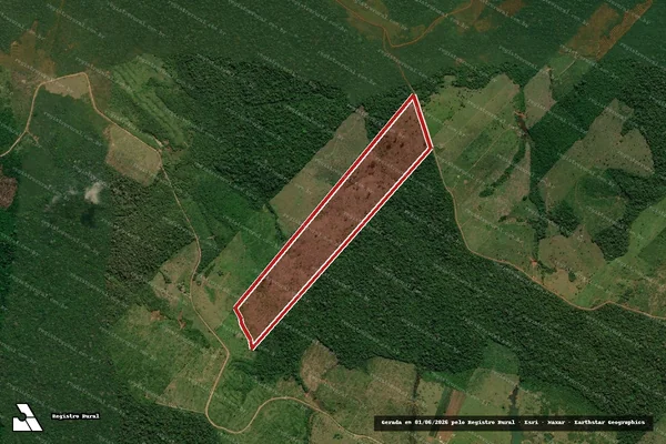Imagem de satélite de Infração da Flora em Apuí - AM