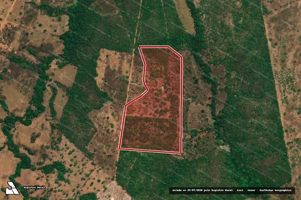 Imagem de satélite de Infração da Flora em Palmeirópolis - TO