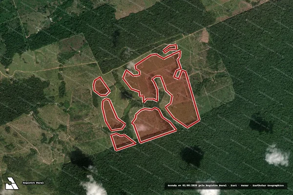 Imagem de satélite de Infração Ambiental em Novo Progresso - PA