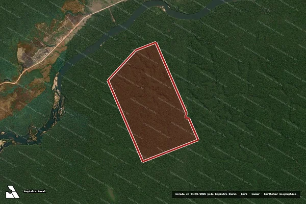 Imagem de satélite de Infração Ambiental em Novo Aripuanã - AM