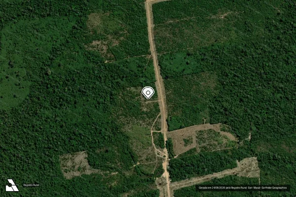 Imagem de satélite de Infração da Flora em Paranaíta - MT (marcador da localização)