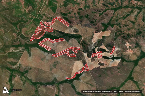 Imagem de satélite — Embargo IBAMA — Infração da Flora — Goiatins/TO