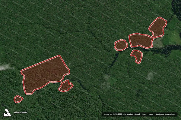 Imagem de satélite de Infração da Flora em Autazes - AM