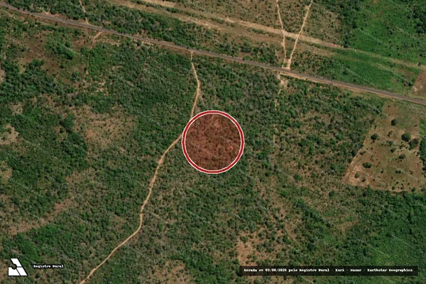 Imagem de satélite de Infração Ambiental em Montes Altos - MA
