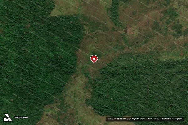Imagem de satélite de Infração Ambiental em São Félix do Xingu - PA (marcador da localização)