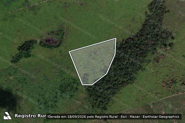 Imagem de satélite — Embargo IBAMA — Infração Ambiental - Altamira/PA