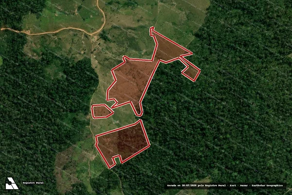 Imagem de satélite de Infração da Flora em Rio Branco - AC