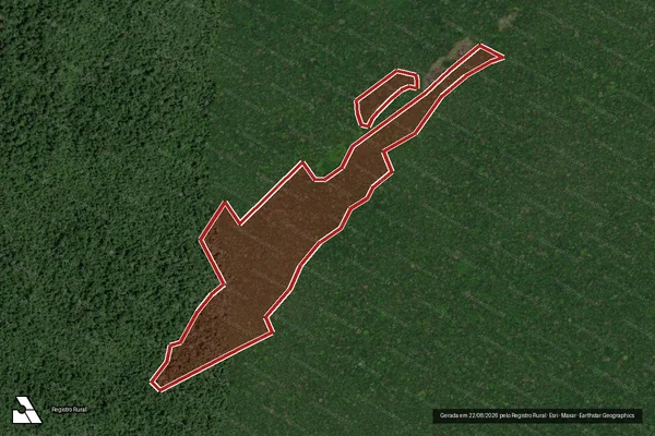 Imagem de satélite de Infração da Flora em Rorainópolis - RR