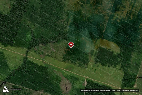 Imagem de satélite de Infração Ambiental em Buritis - RO (marcador da localização)