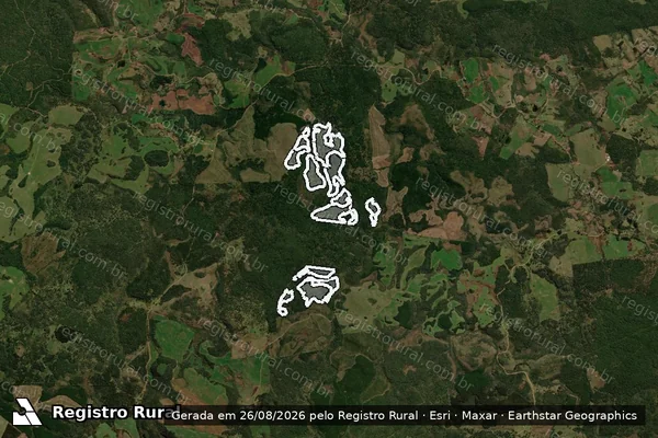 Imagem de satélite — Embargo IBAMA — Infração Ambiental - Palmas/PR