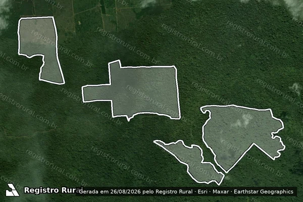 Imagem de satélite de Infração Ambiental em São Félix do Xingu - PA