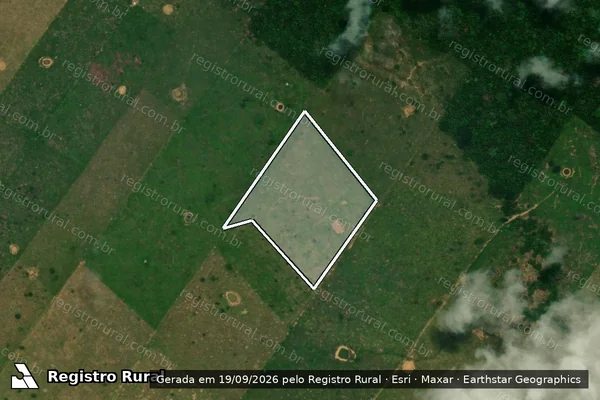 Imagem de satélite — Embargo IBAMA — Desmatamento - Porto Velho/RO