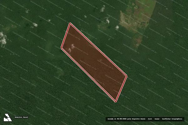Imagem de satélite — Embargo IBAMA — Infração da Flora - Maués/AM