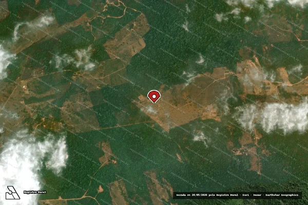 Imagem de satélite de Infração Ambiental em Marabá - PA (marcador da localização)