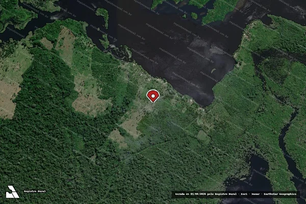 Imagem de satélite — Embargo IBAMA — Infração da Flora — Barreirinha/AM