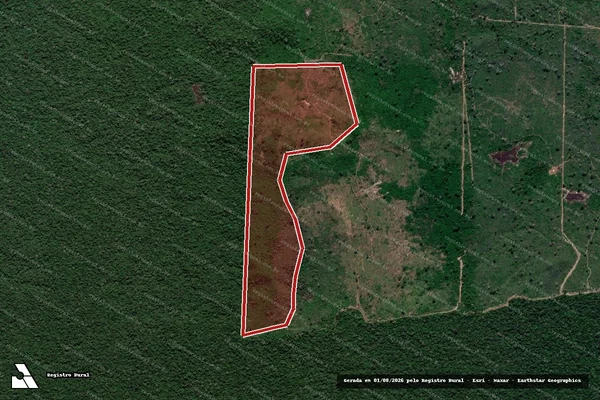 Imagem de satélite de Infração da Flora em Lábrea - AM