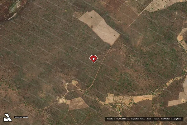 Imagem de satélite de Infração Ambiental em Queimada Nova - PI (marcador da localização)