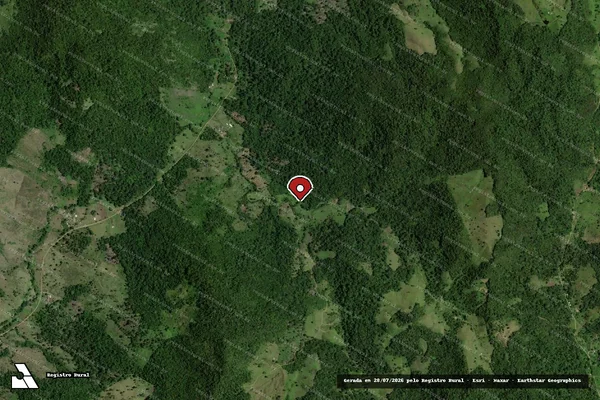 Imagem de satélite — Embargo IBAMA — Infração Ambiental — Pau Brasil/BA