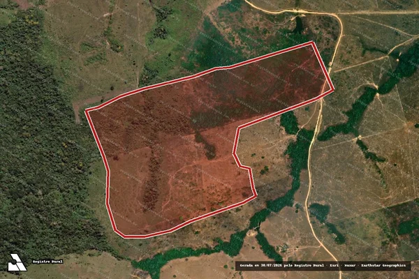 Imagem de satélite de Infração Ambiental em Novo Progresso - PA
