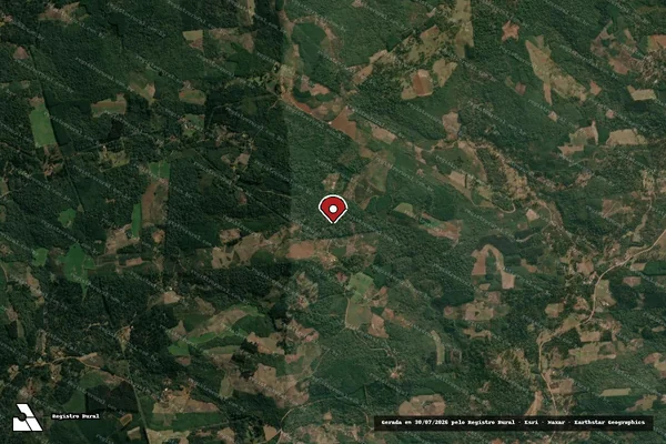 Imagem de satélite de Infração da Flora em Cruz Machado - PR (marcador da localização)