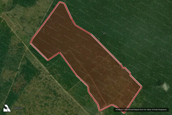 Imagem de satélite de Infração da Flora em Santarém - PA